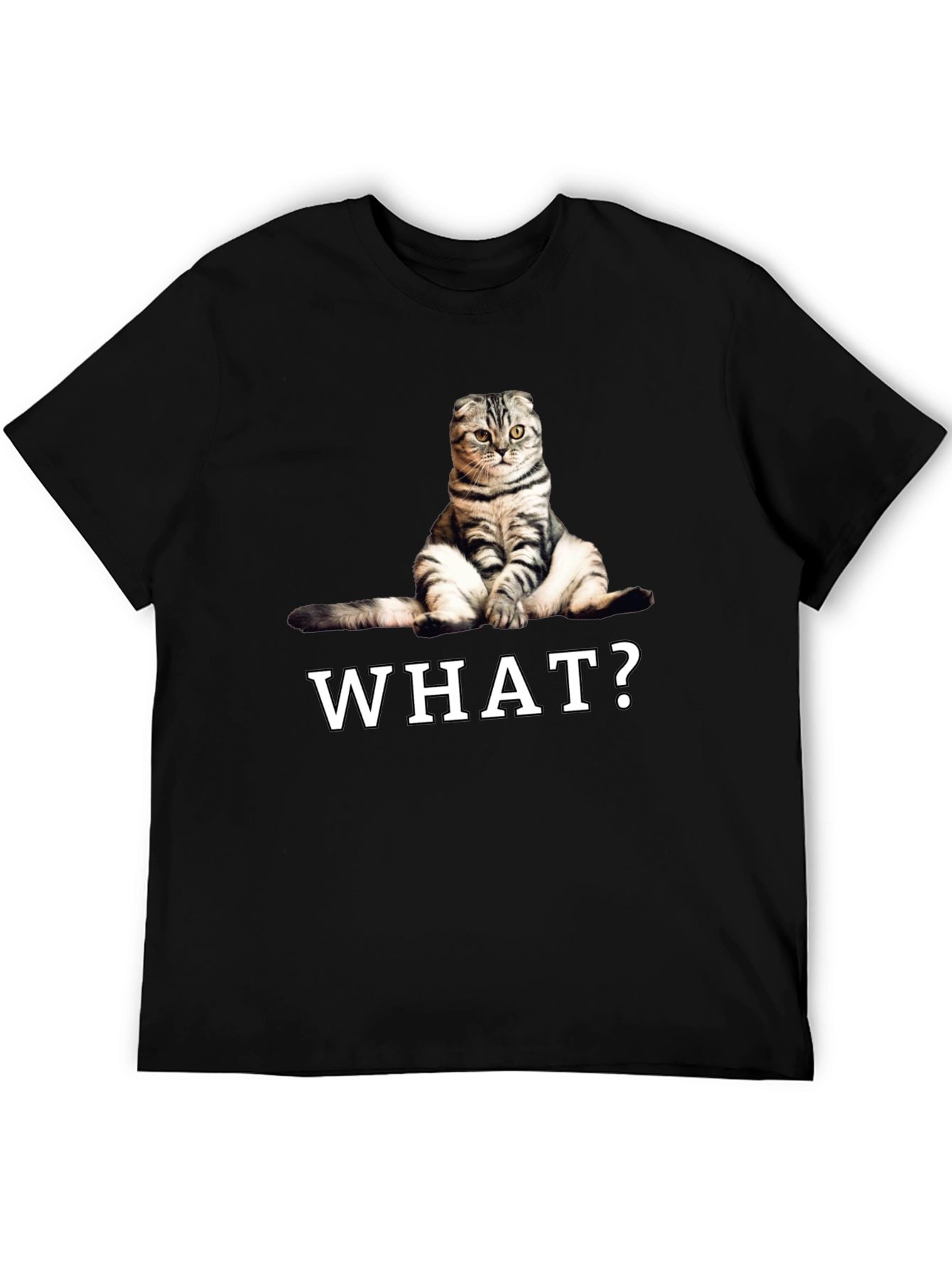 Funny Cat What? Graphic T-Shirt