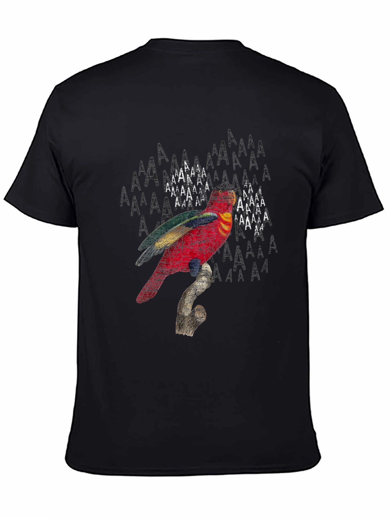 Parrot Graphic Print Black T-Shirt
